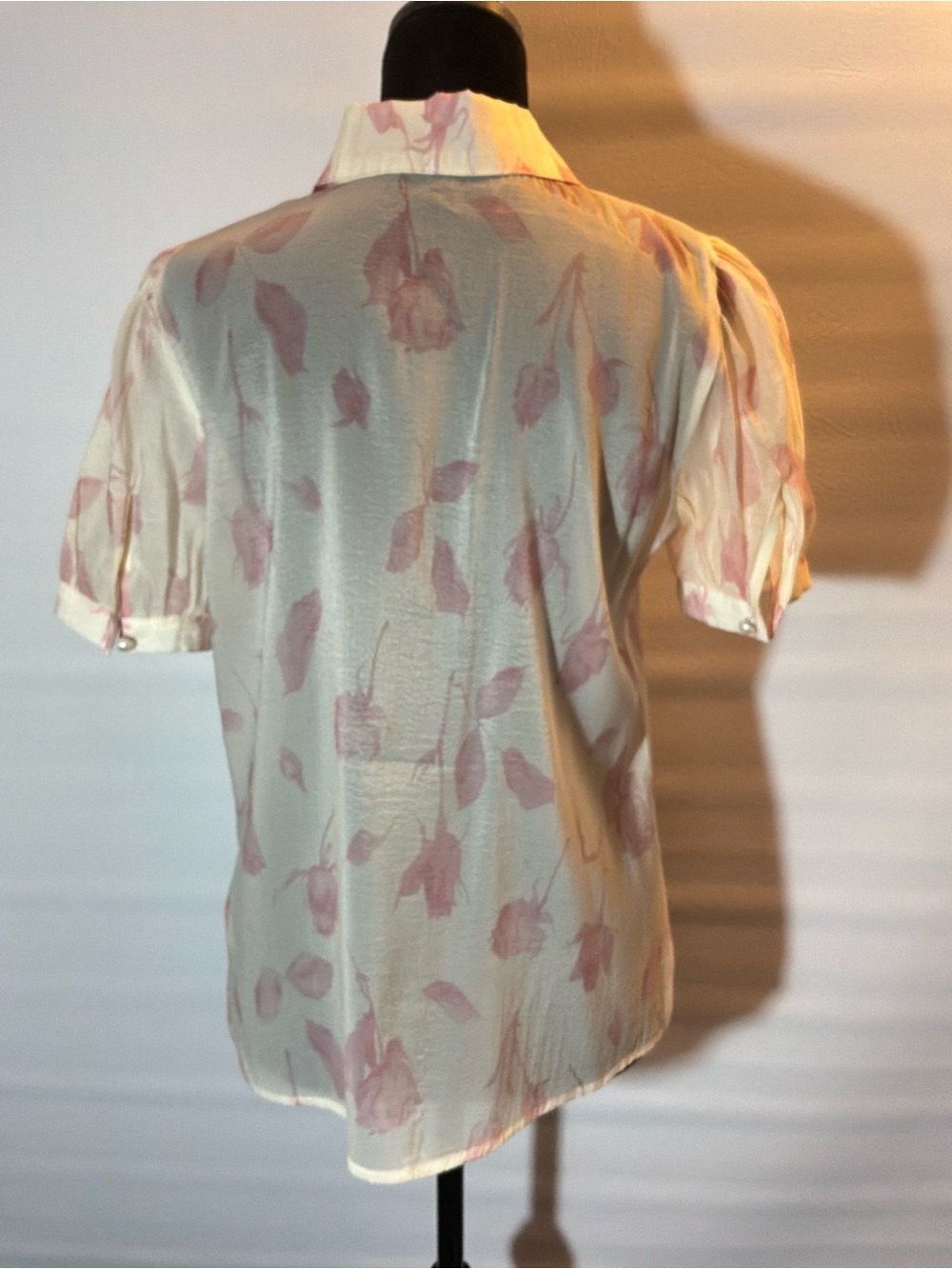 🌙✨ Alice Blue Romantic Sheer Floral Pearl-Button Blouse - Picture 3 of 7